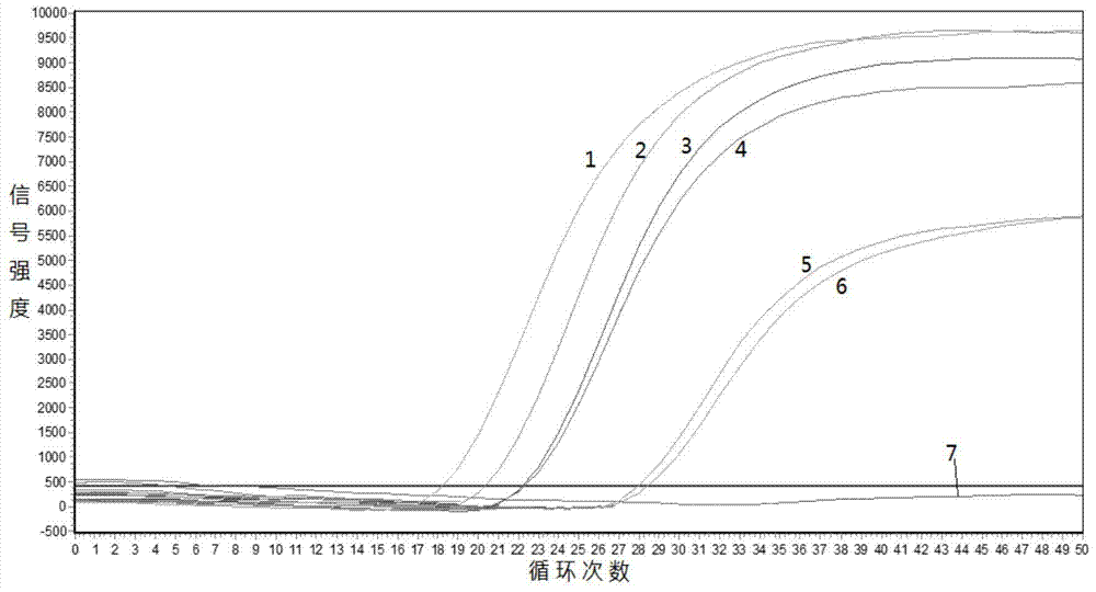 Primers, kit and pcr method for detecting the v600e mutation site of braf gene