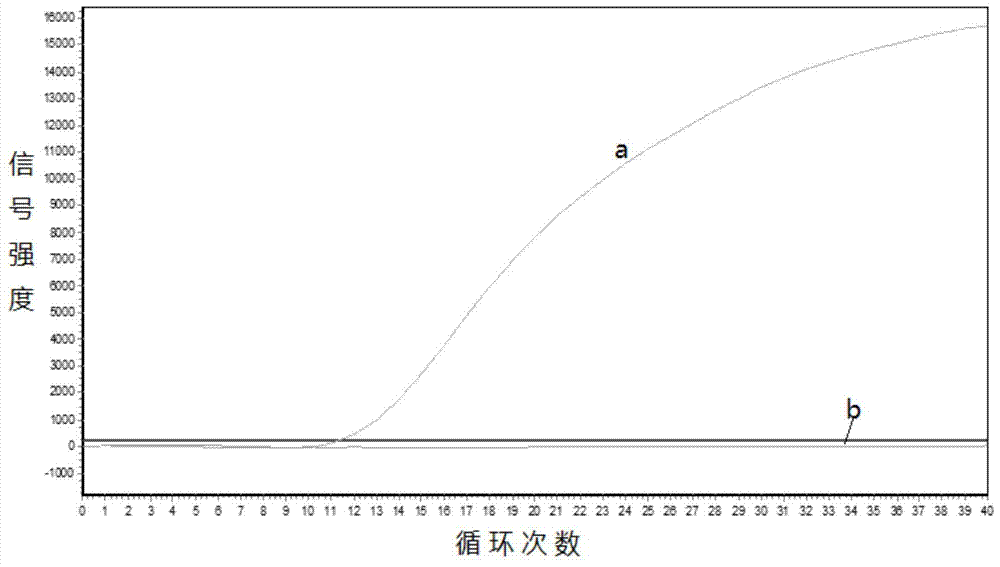 Primers, kit and pcr method for detecting the v600e mutation site of braf gene