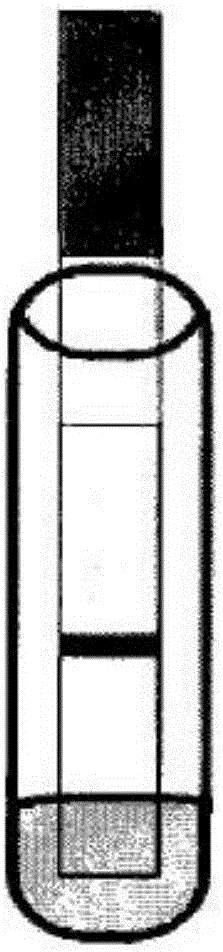 EV71 virus IgA antibody detection test strip and application thereof