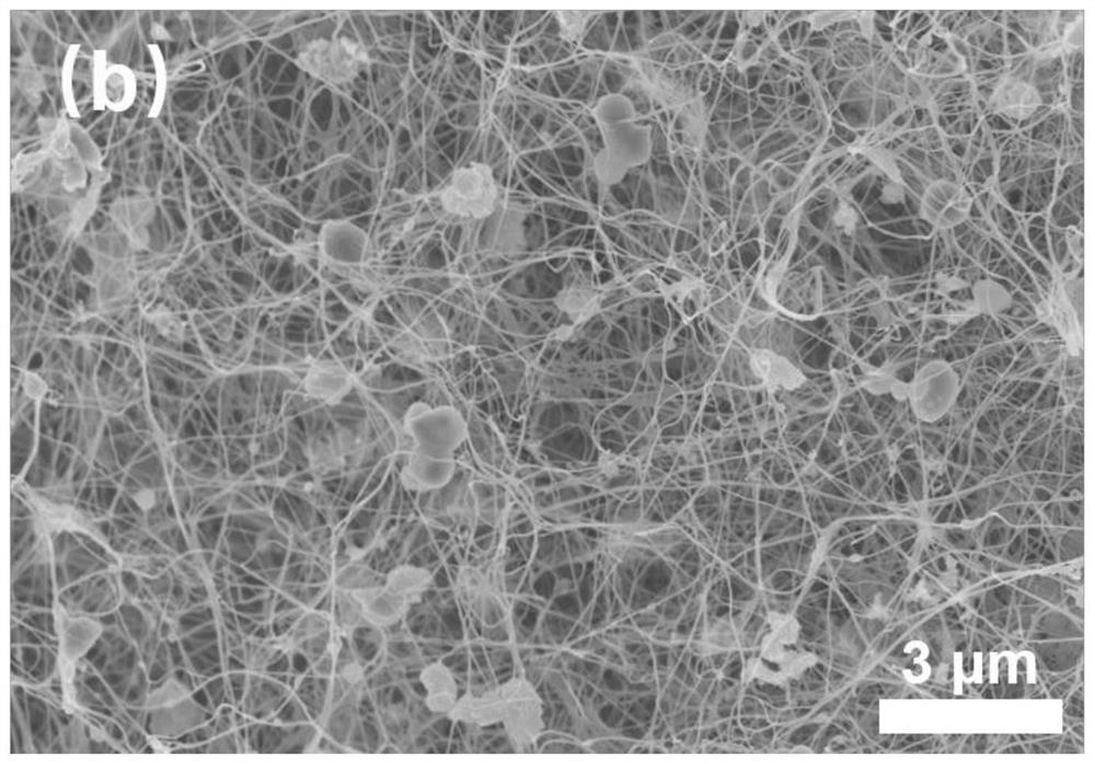 A method for purification and separation of bacterial cellulose