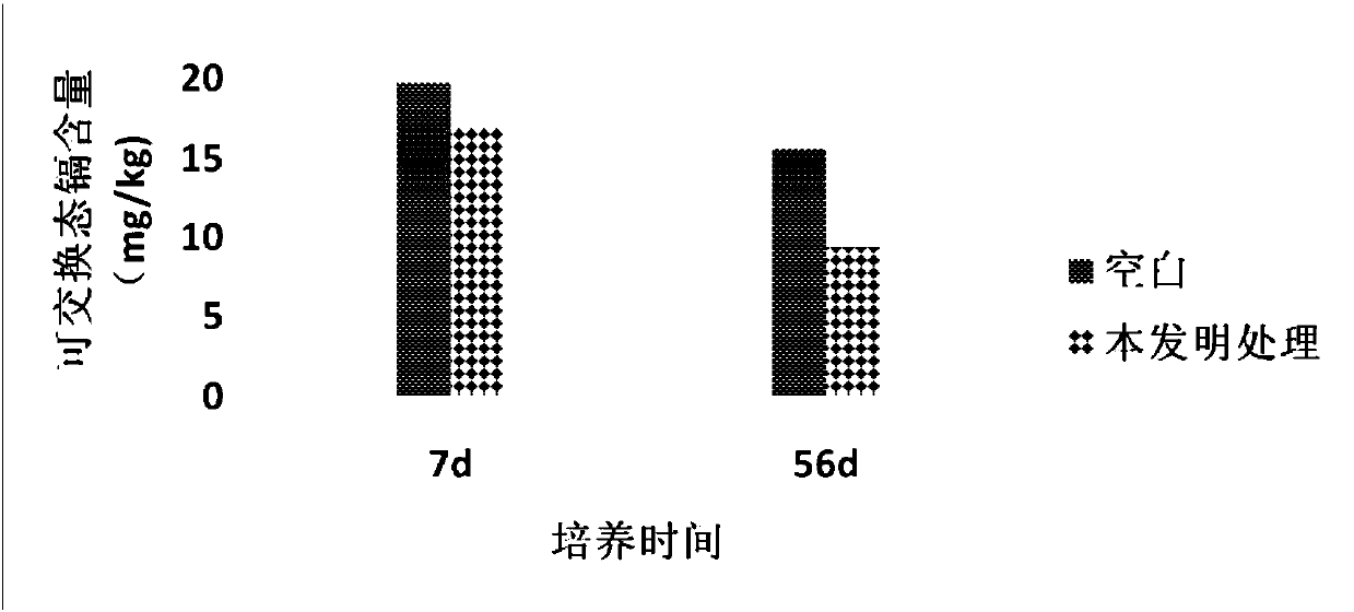 Organic-inorganic composite passivator for cadmium contaminated soil and using method of composite passivator