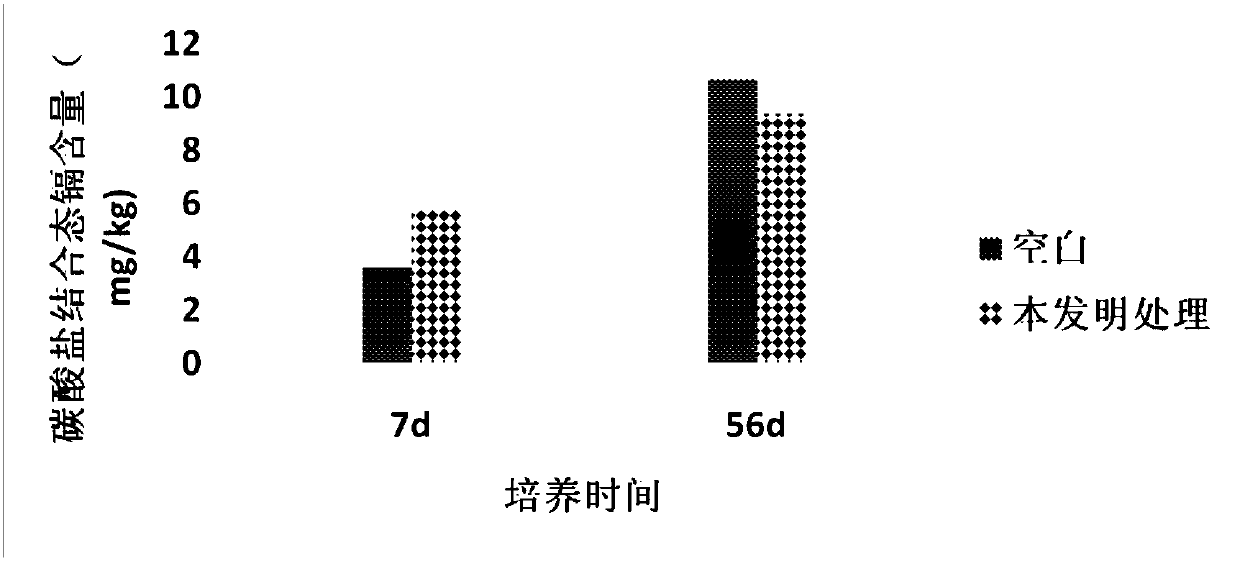 Organic-inorganic composite passivator for cadmium contaminated soil and using method of composite passivator