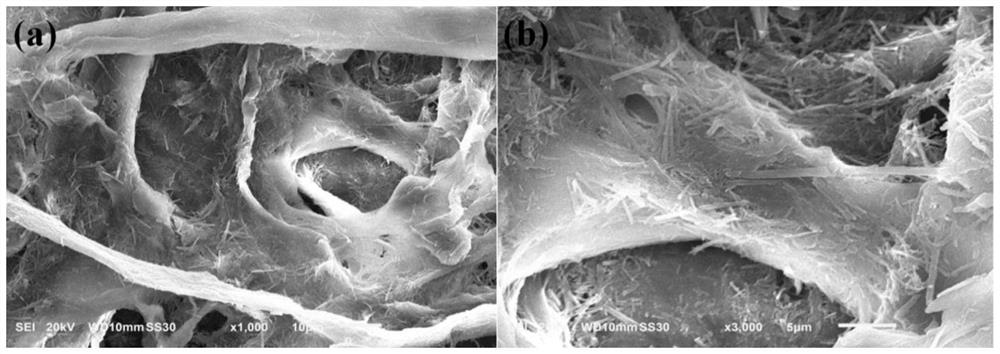 A kind of preparation method of superhydrophilic/underwater superoleophobic self-cleaning paper towel fiber membrane