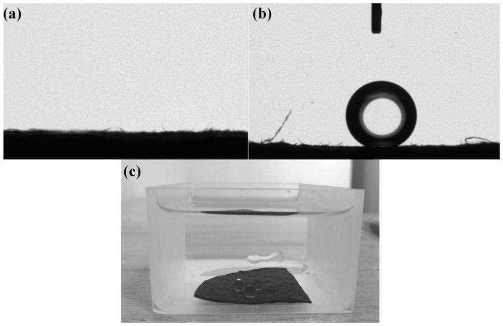 A kind of preparation method of superhydrophilic/underwater superoleophobic self-cleaning paper towel fiber membrane