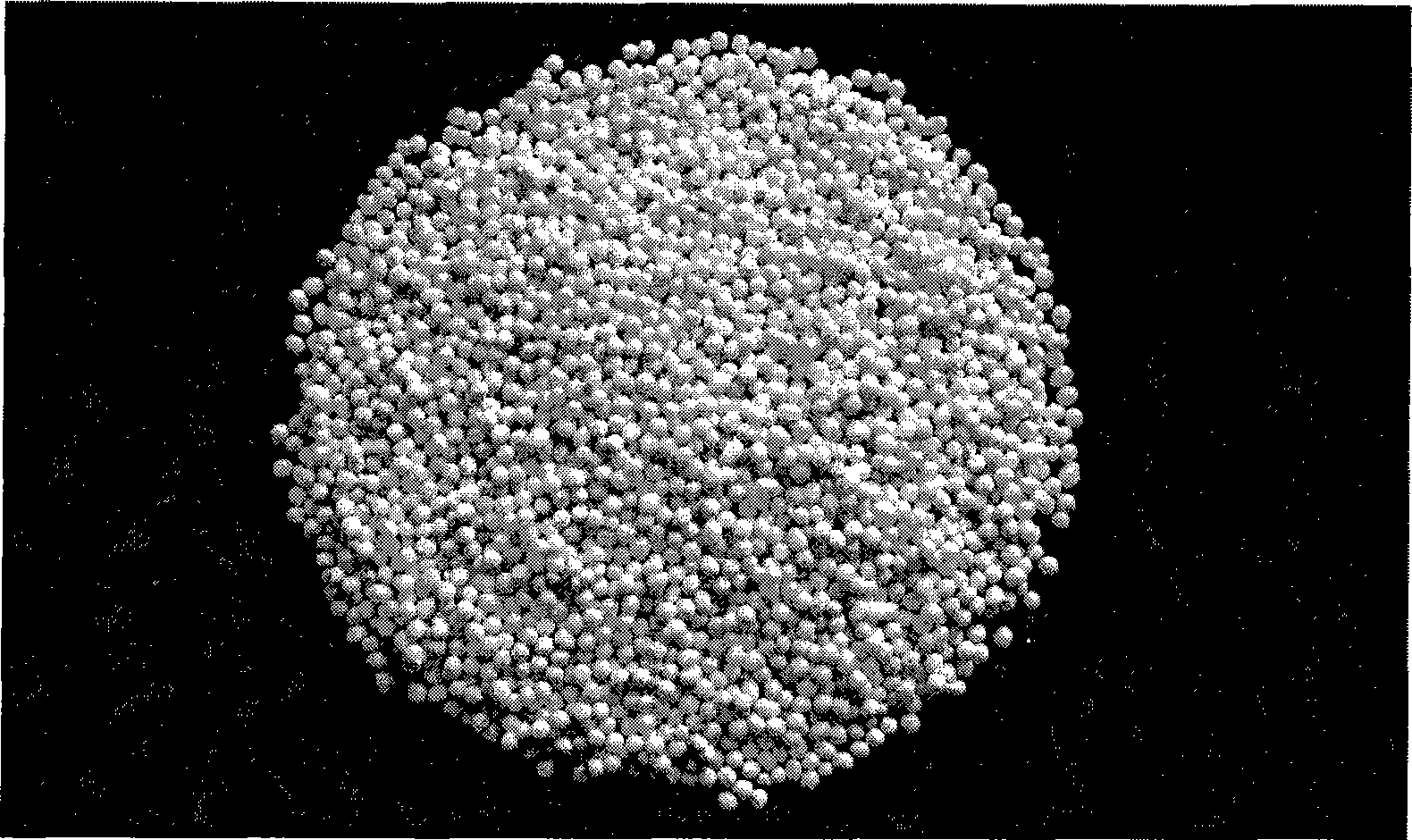 Immune bovine colostrum and method for preparing bifidobacteria composite tiny capsule and pill