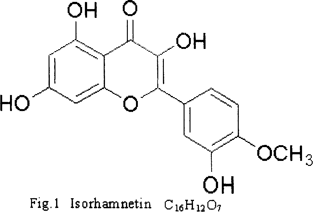 Method for abstracting active ingredient of Isorhamnetin in folium ginkgo with ultrasound wave