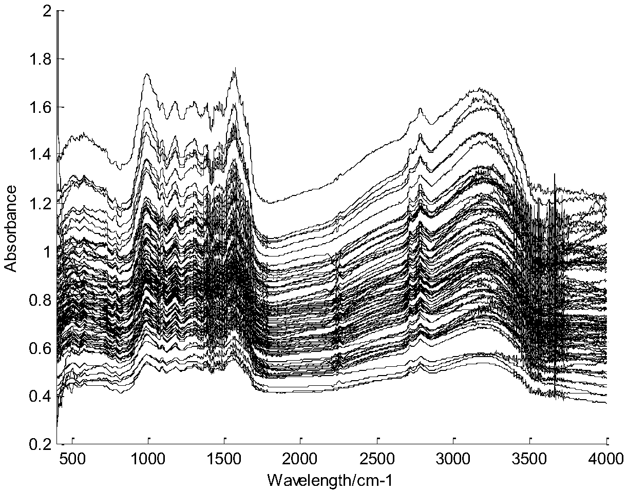 Classification method of f tea leaves based on possibility fuzzy identification C-means clustering