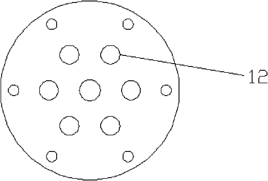 Vertical cell immobilized reactor for producing ferric irons by biological oxidation