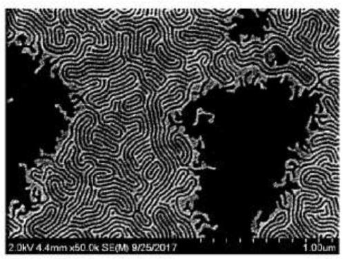 Random copolymer and pinning composition comprising same