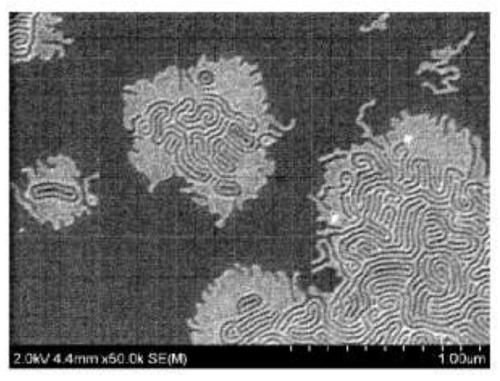 Random copolymer and pinning composition comprising same