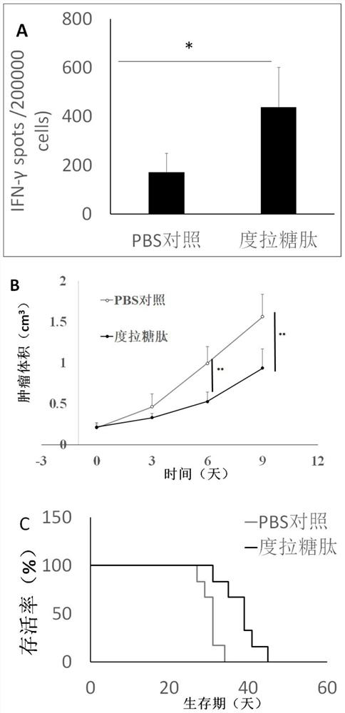 Application of dulatide in preparation of antitumor drugs