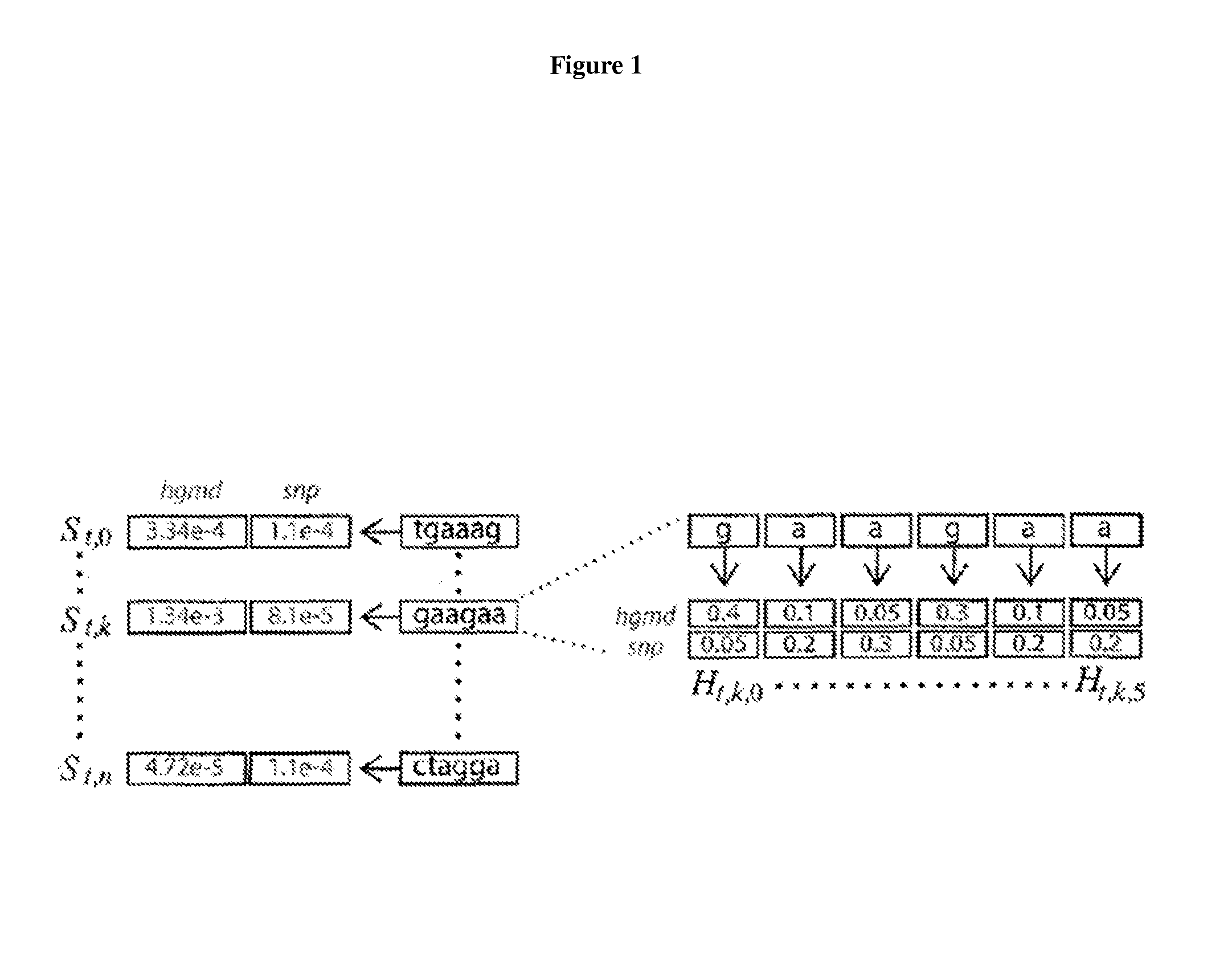 Exonic splicing enhancers and exonic splicing silencers