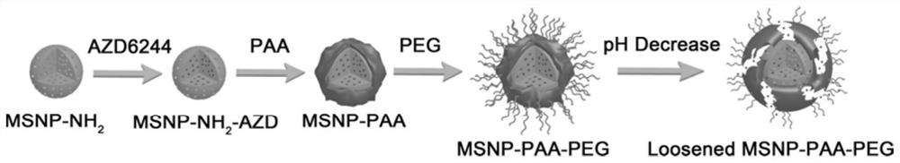 Mesoporous silica nanometer drug-loaded particles targeting tumor tissue and cells and preparation method thereof