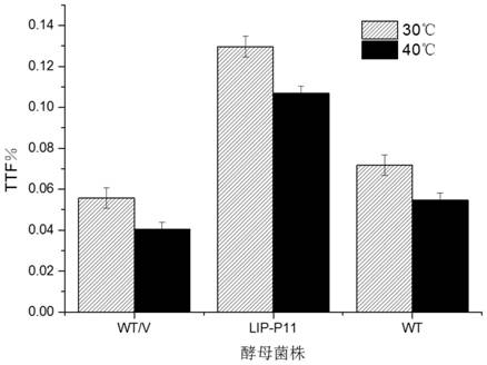 A kind of method and application of improving cell viability and multiple stress resistance of Saccharomyces cerevisiae