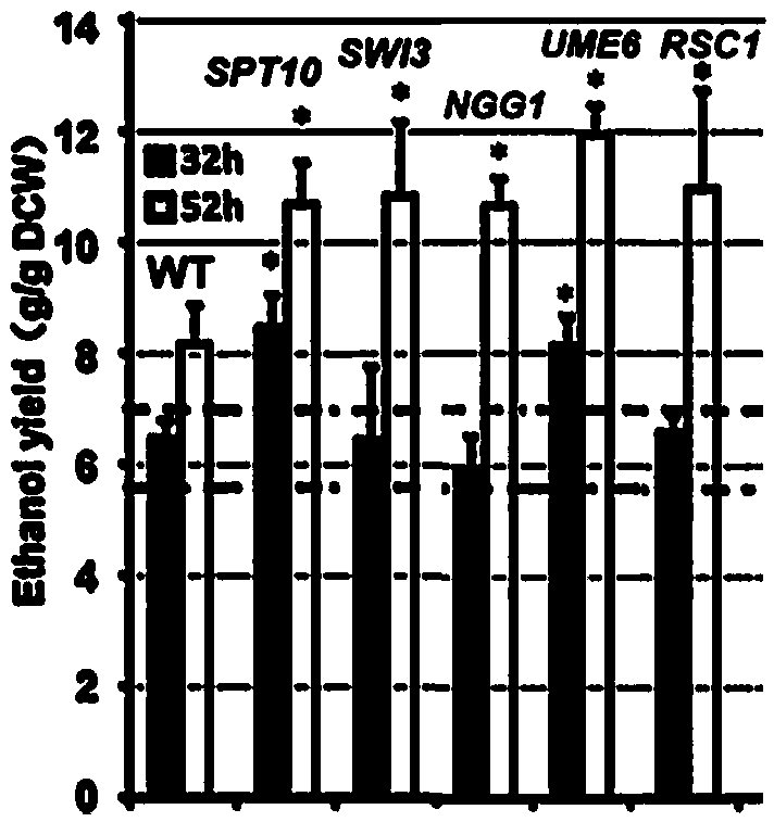 Application of chromatin remodeling factor genes in saccharomyces cerevisiae in increasing yield of fermentation alcohol