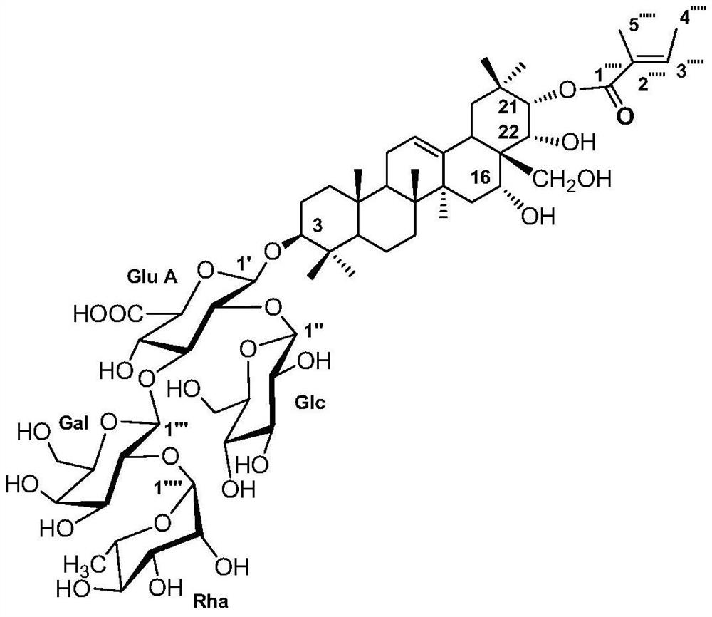 Preparation method of compound SS-2 and application of schima superba extract