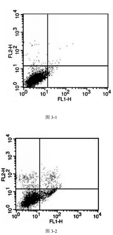 Preparation method of coix seed polysaccharide and application of coix seed polysaccharide