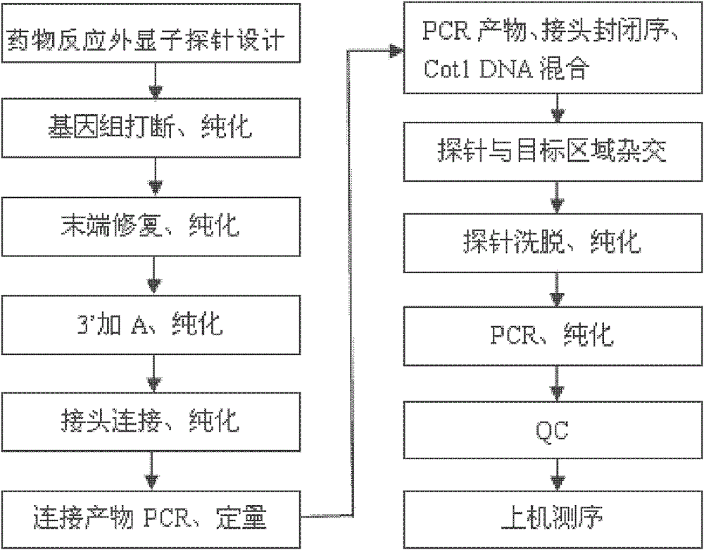 Method and application of constructing standard type database of drug-response-related genes