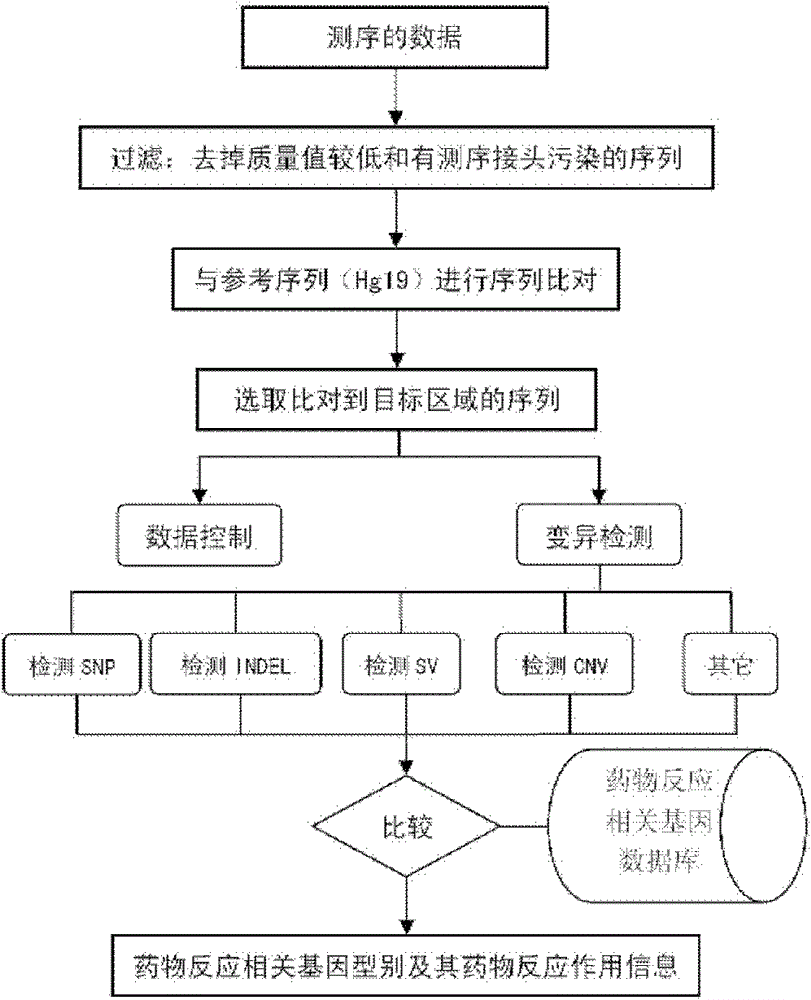 Method and application of constructing standard type database of drug-response-related genes