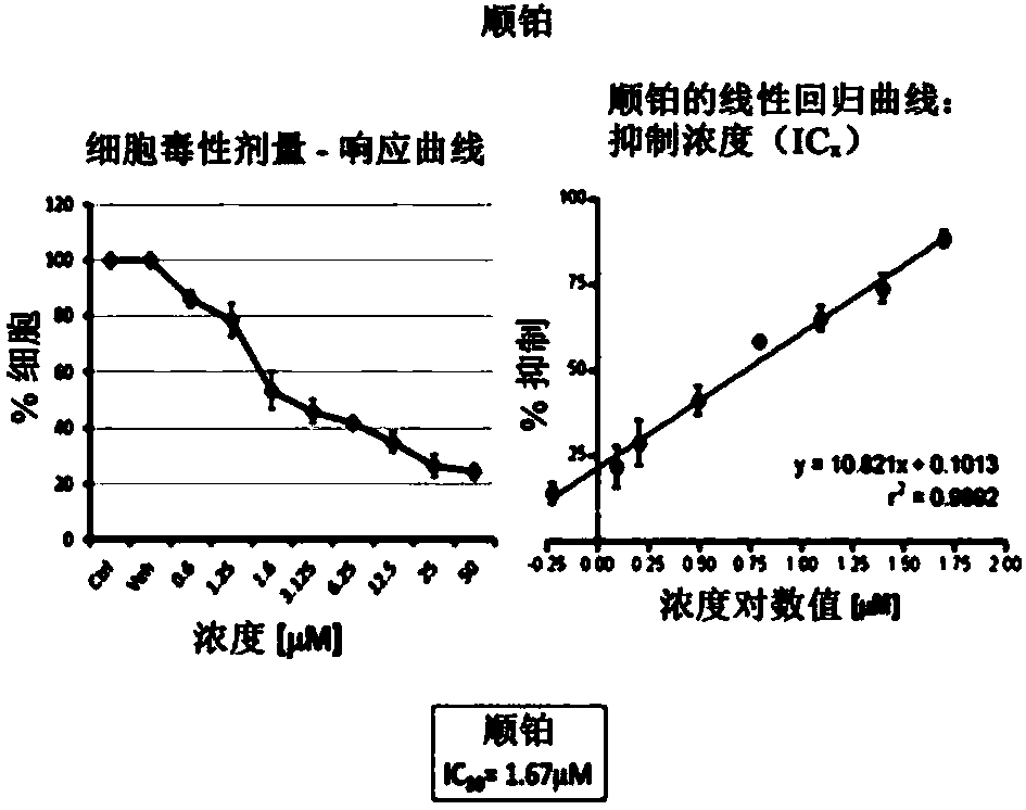 Composition comprising combination of epicatechin and Anti-cancer compound