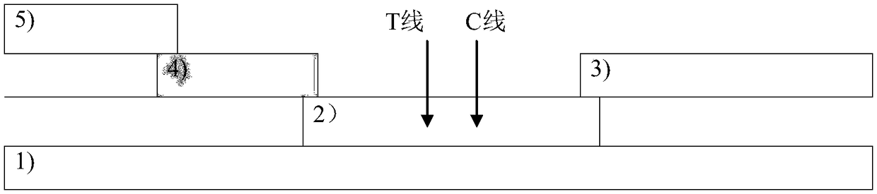 Test strip capable of quantificationally detecting content of c-reactive protein in peripheral blood and preparation method thereof