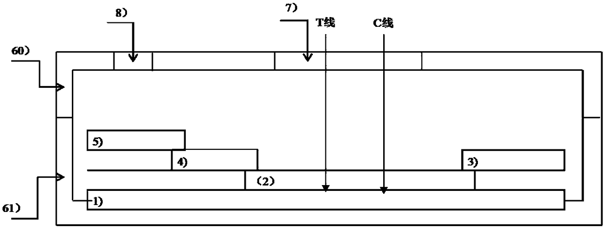 Test strip capable of quantificationally detecting content of c-reactive protein in peripheral blood and preparation method thereof