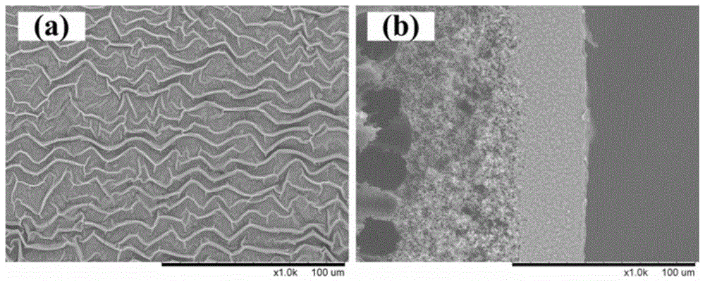 Synthetic method of metal organic skeleton membrane