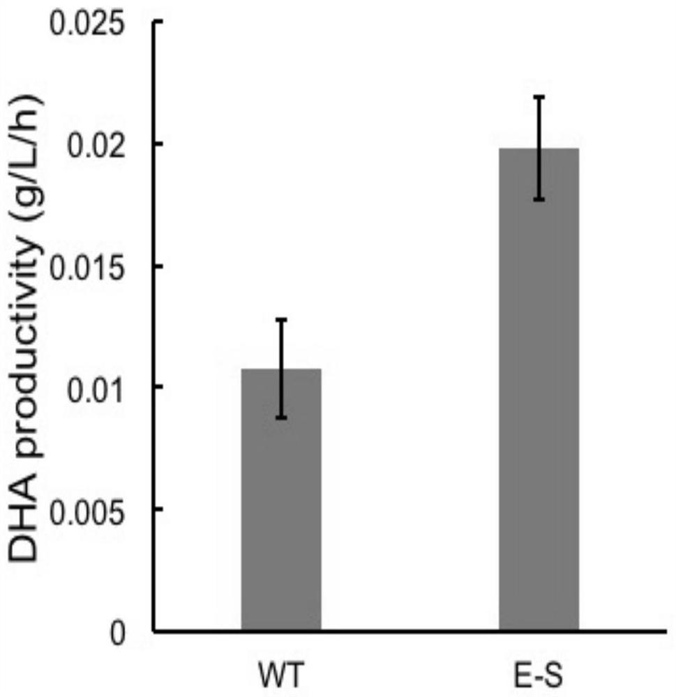 A multi-factor co-evolutionary method to increase the production of Cryptidinosa dha