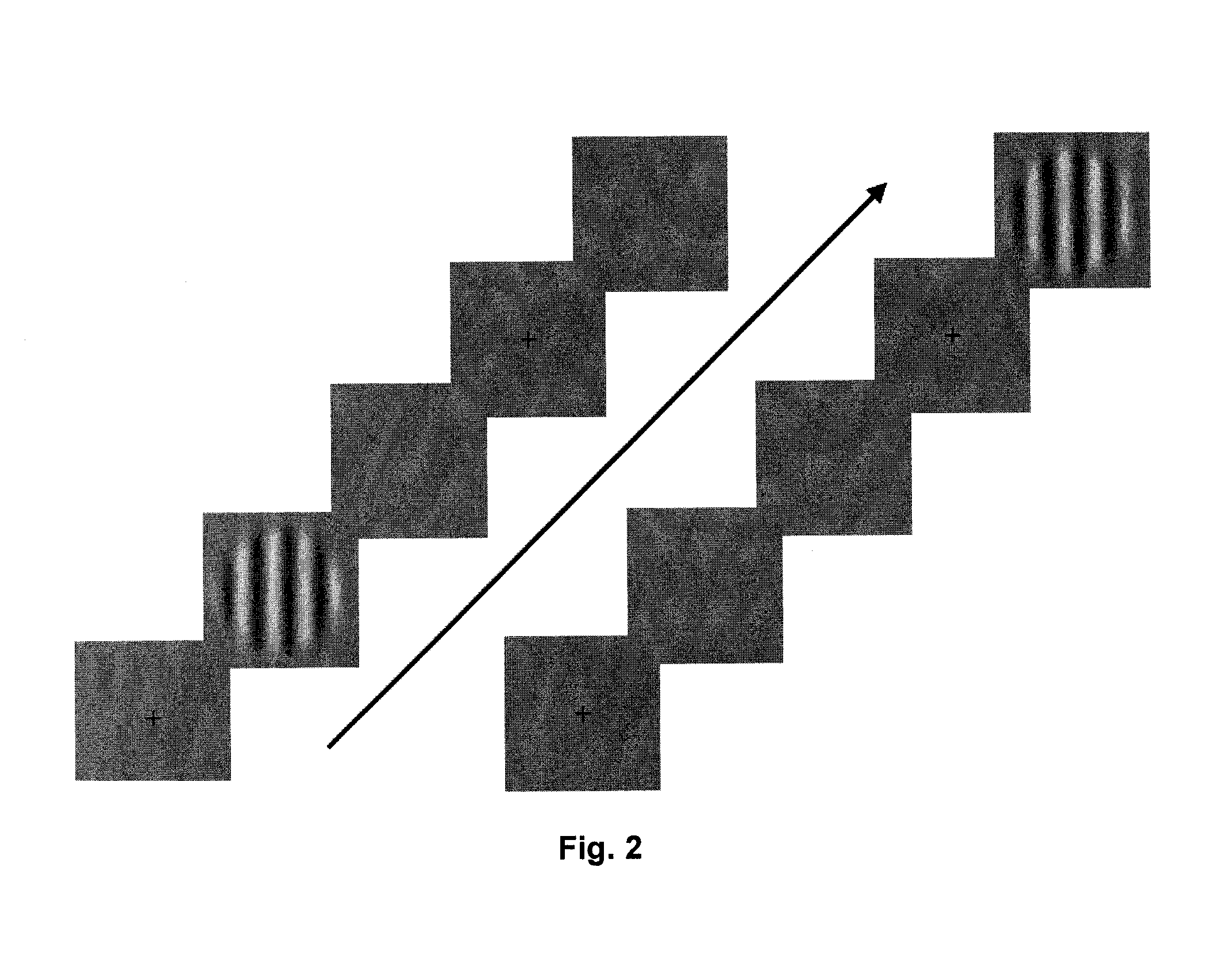 Two-eye adaptive optical visual perception training method and apparatus thereof