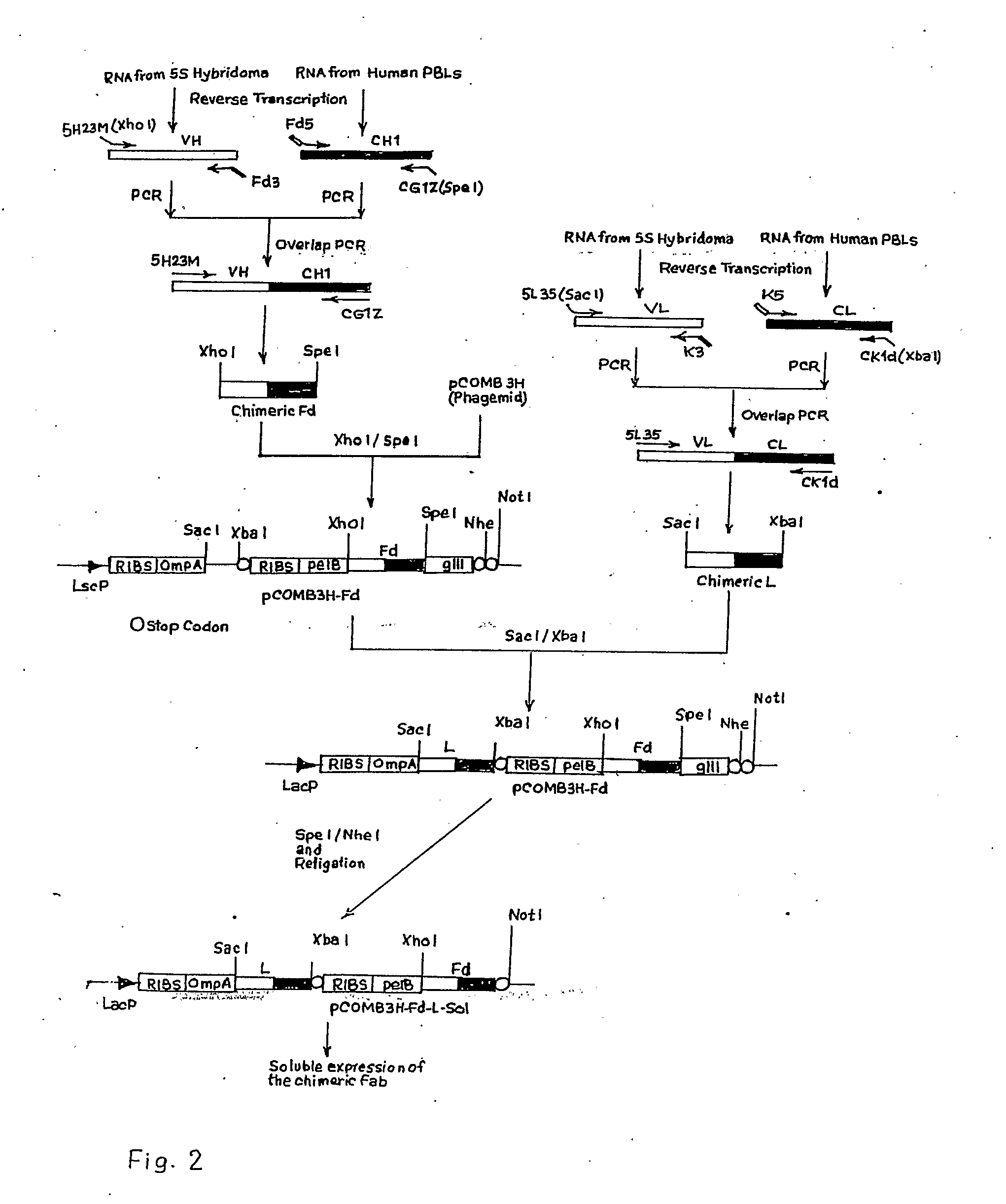 Recombinant Mouse-Human Chimeric Fab Against Hepatitis B Surface Antigen