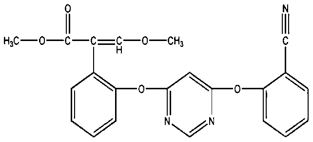 Seed treatment heterogeneous preparation for treating both diseases and pests