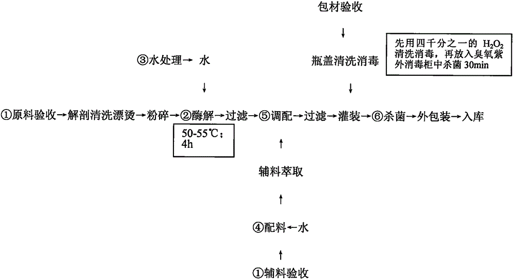 Trepang and oyster enzymolysis oral liquid and preparation method thereof