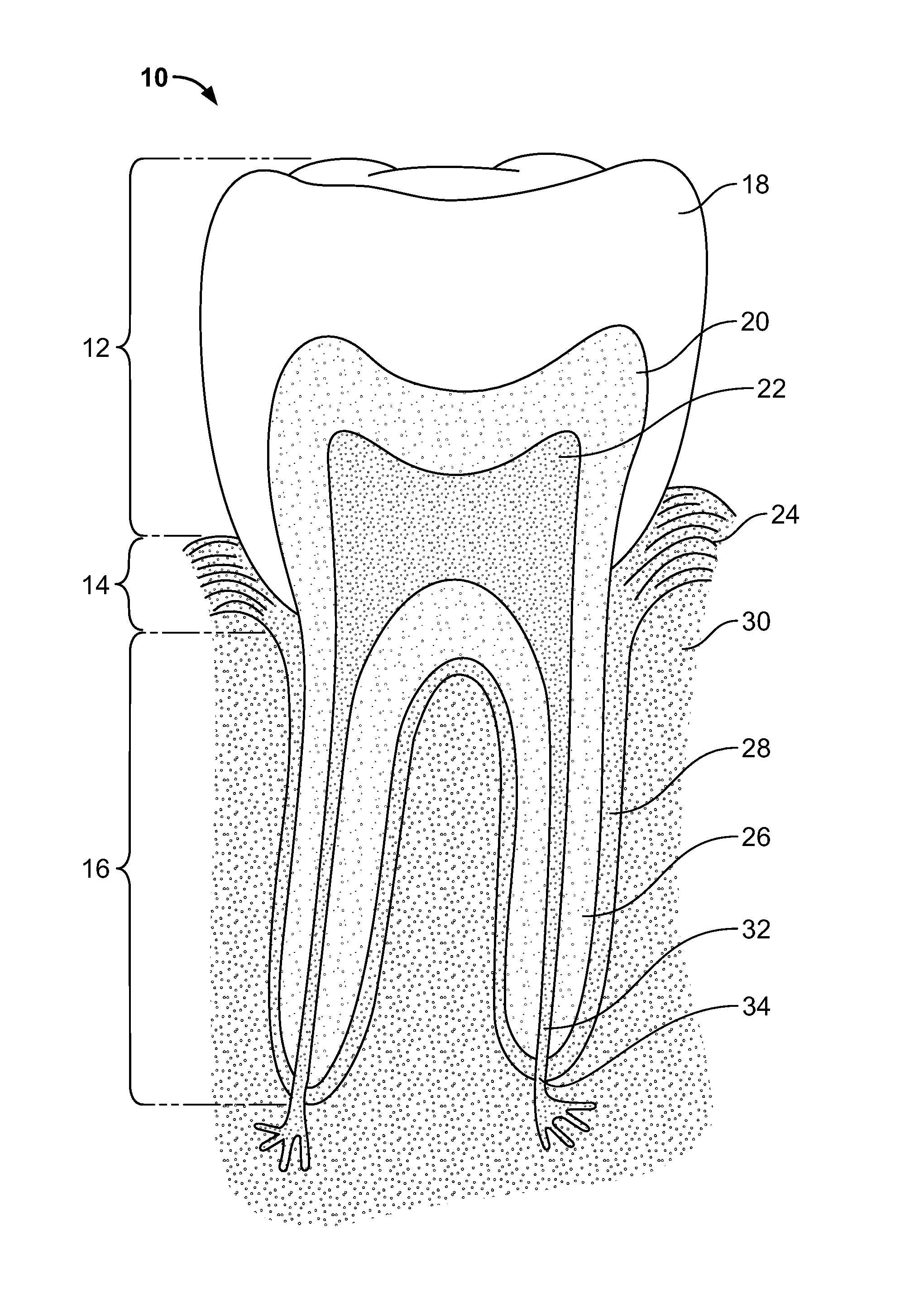 Natural oral care compositions