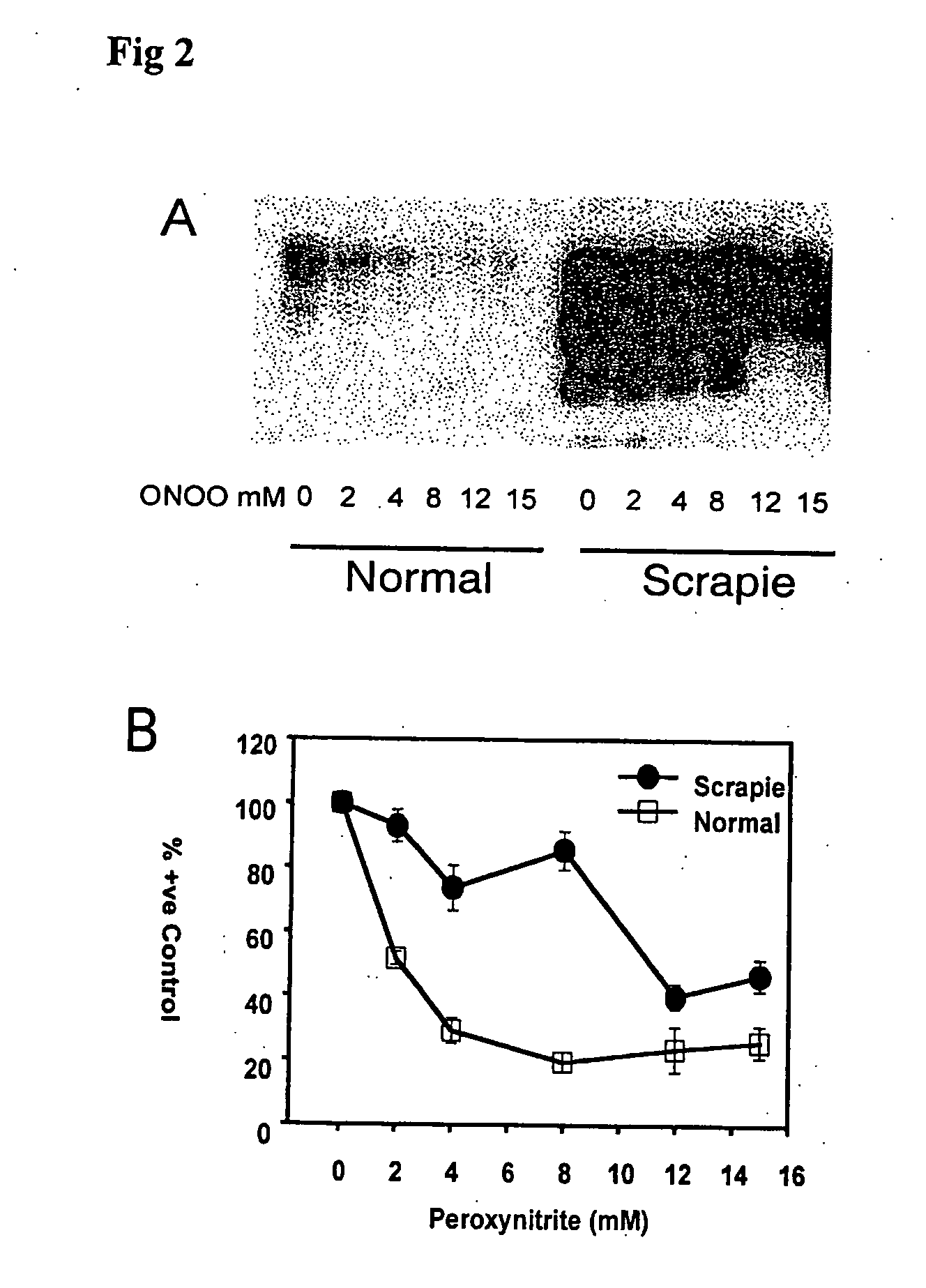 Epitope protection assay