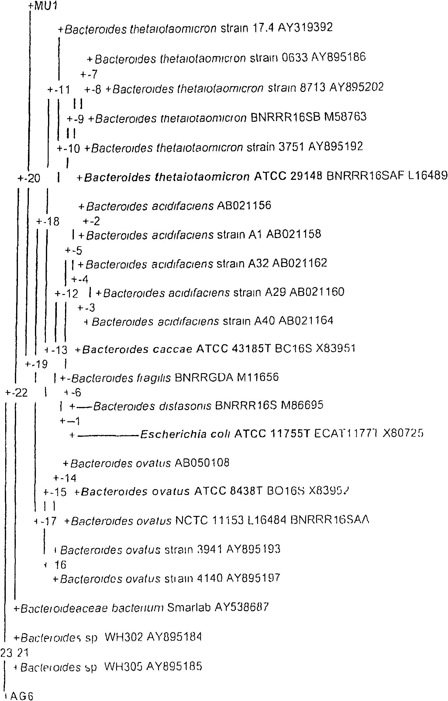 Carbohydrate specific cellular immunity inducing microorganisms and fractions thereof