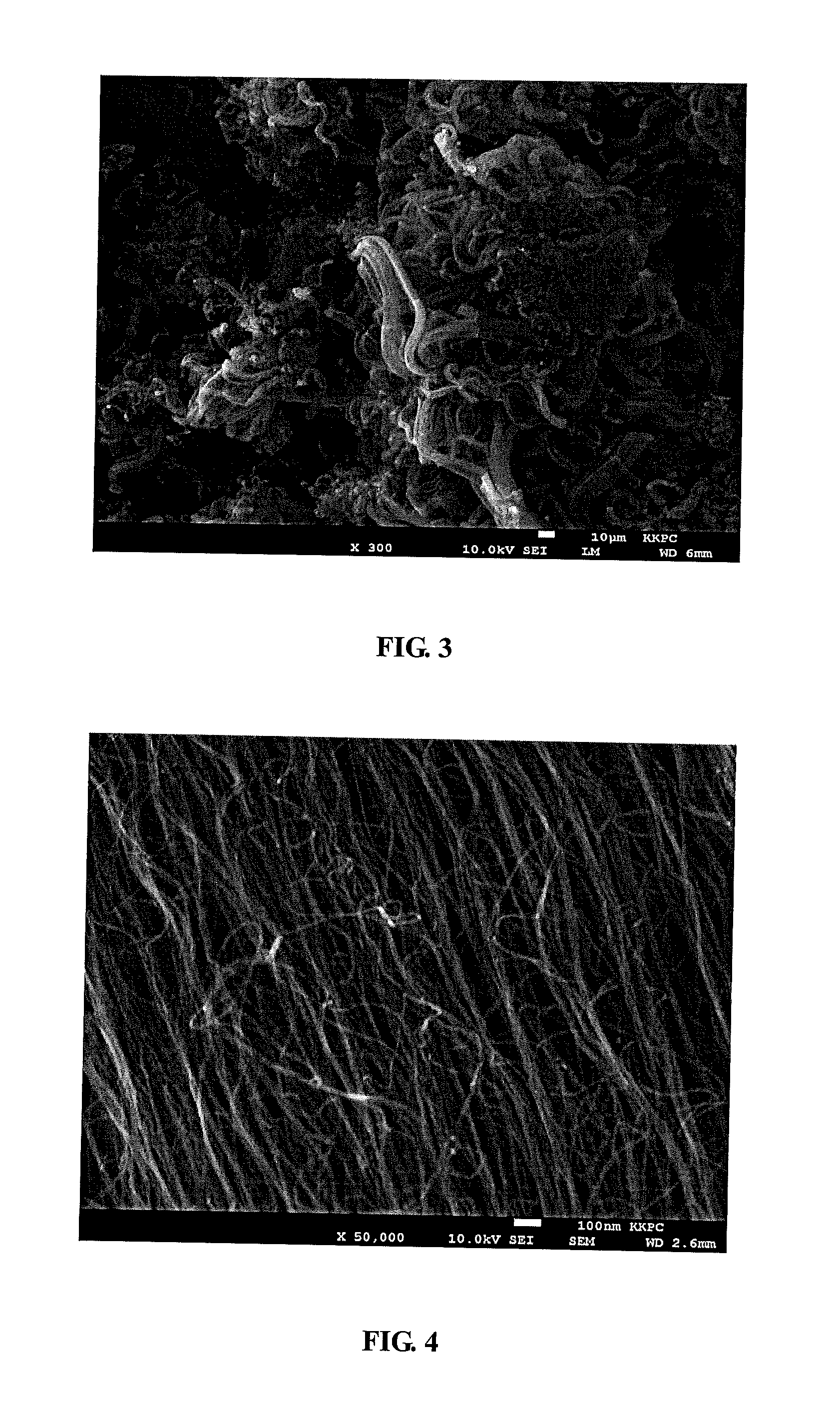 Highly Conductive Carbon Nanotube Having Bundle Moieties With Ultra-Low Bulk Density and Its Manufacturing Method