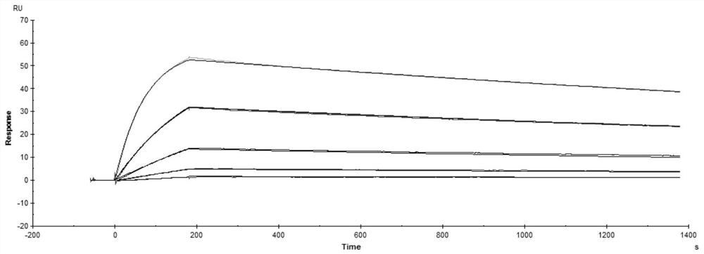 An anti-human PD-1 monoclonal antibody preparation, combined drug and use thereof