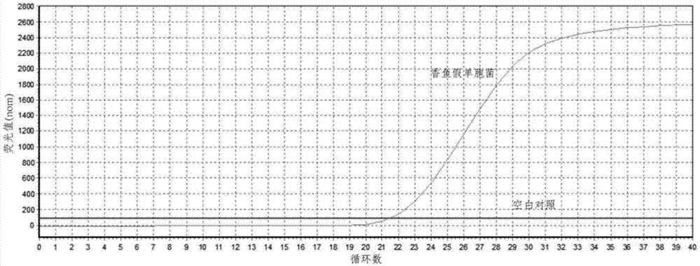 Fluorescent quantitative PCR detection kit of Pseudomonas plecoglossicida, and detection method thereof