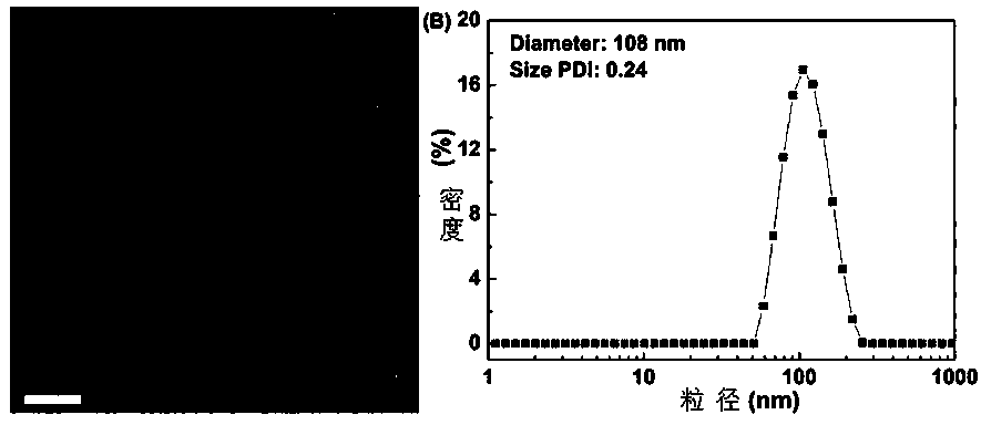 Preparation method and application of rapid oxidation/reduction dual responsive block copolymer containing diselenium bond