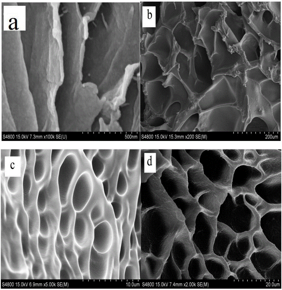 Nanometer composite graphene hydrogel system used for breast cancer combined chemotherapy, and preparation method thereof