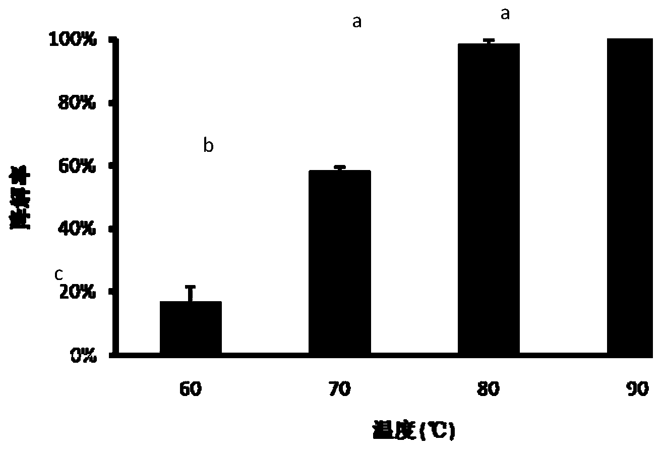 Liquid amino acid compound produced by dead porcine proteins and application thereof