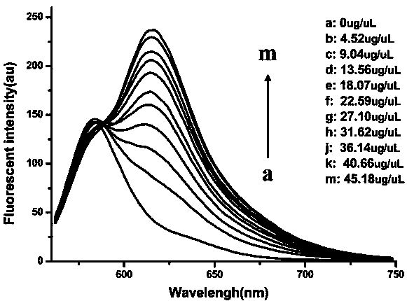 Method for rapidly quantifying exosome by using fluorescence ratio