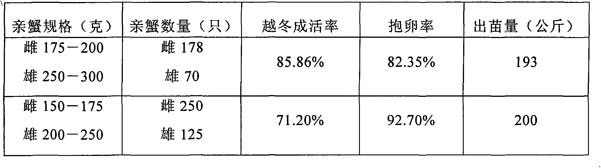 Method for ecological breeding of large Chinese mitten crabs in pond