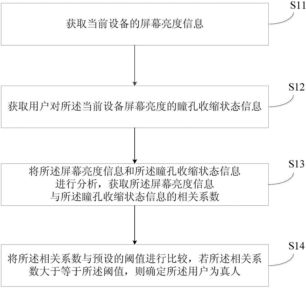 Iris-change-based living body identification method and system