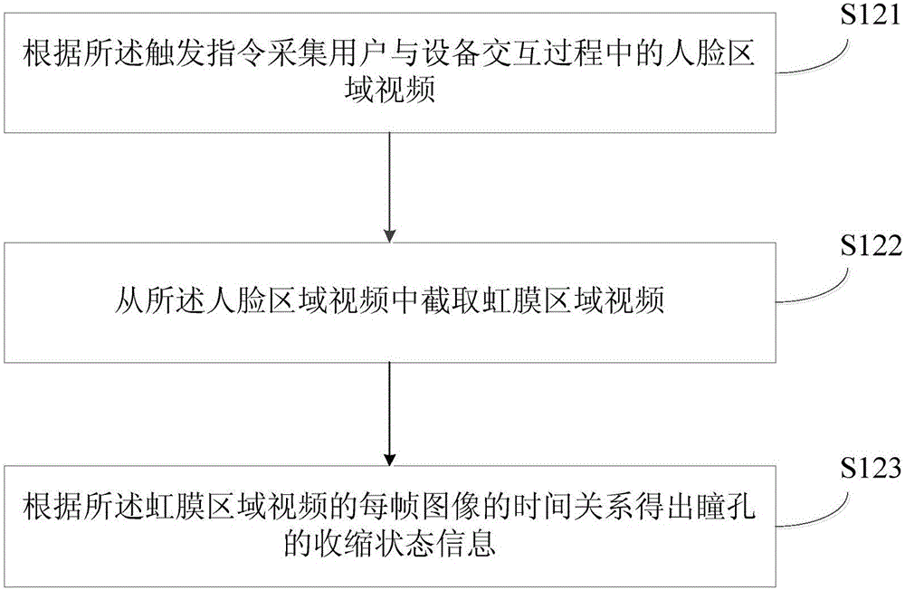 Iris-change-based living body identification method and system