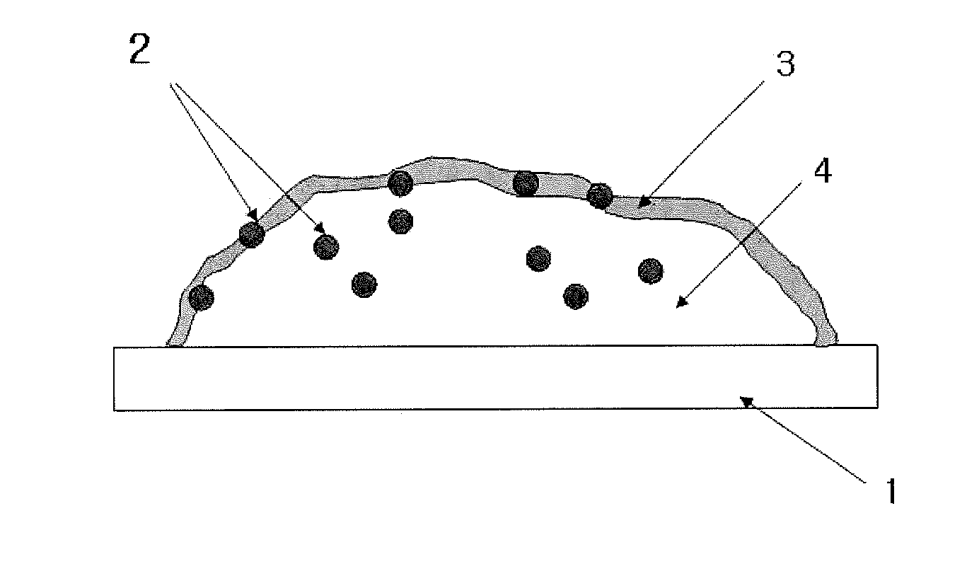 Process for Preparing Super Absorbent Polymers