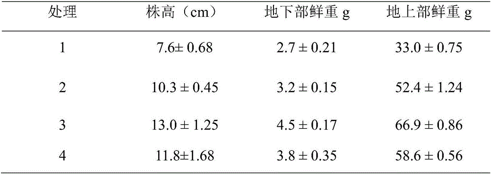 A kind of potassium decomposing bacterium and application thereof