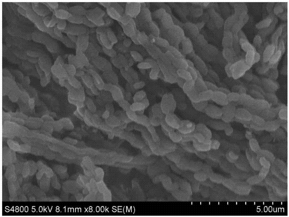 Modified-electrode-based tyrosinase biosensor as well as preparation method and application thereof