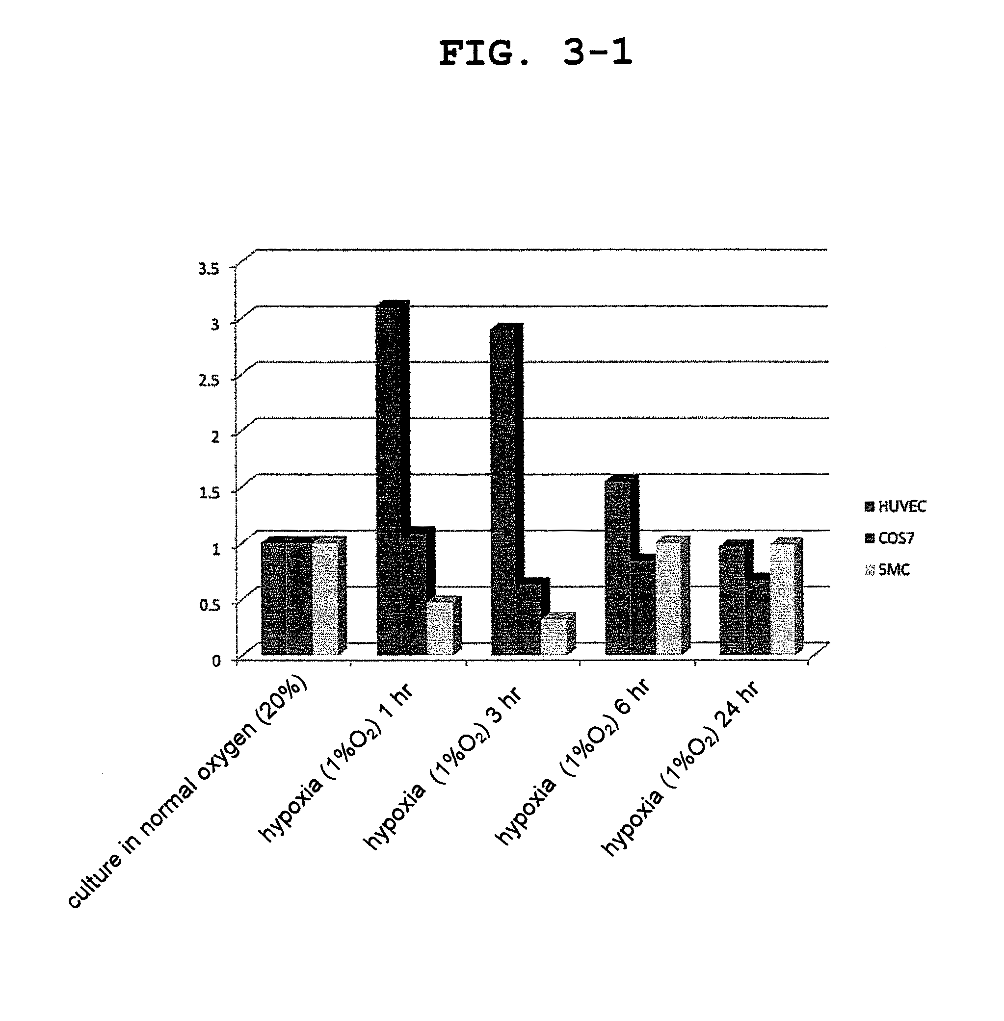 DNA fragment and use thereof