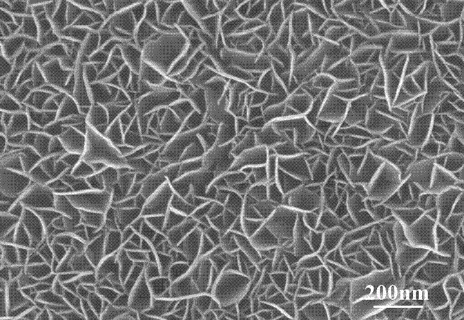 Three-dimensional nanoflower-like Ni-Fe composite hydroxide oxygen evolution anode used for carbonate electrolysis